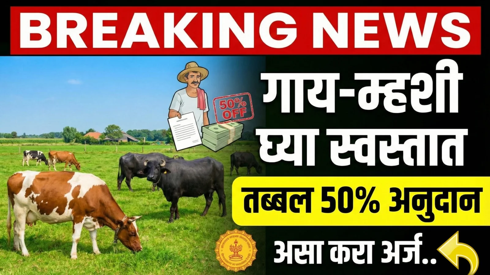 cow buffalo subsidy
