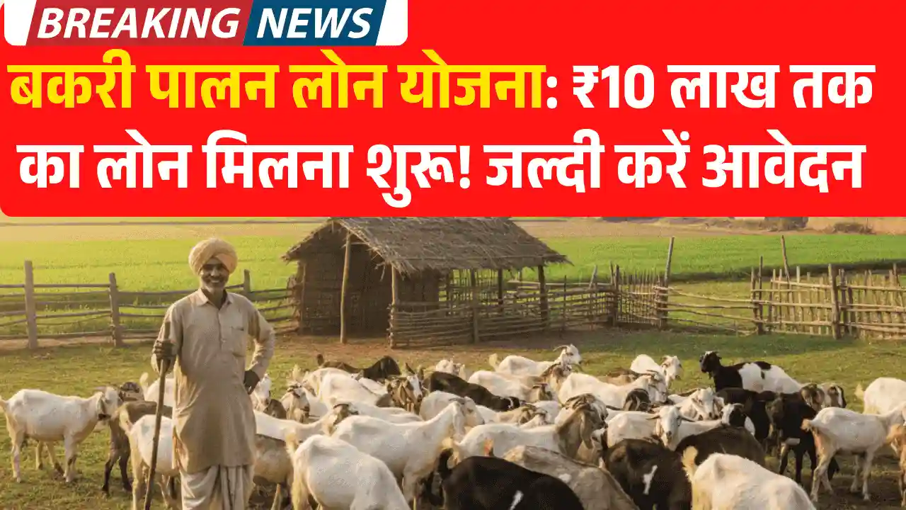 बकरी पालन लोन योजना: ₹10 लाख तक का लोन मिलना शुरू! जल्दी करें आवेदन bakri palan loan scheme