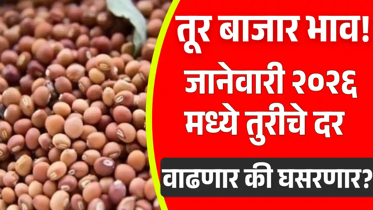 Current Market Situation